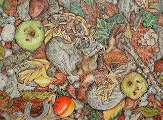 Andree Lisette Herz, 'Fall Leaves 2', 2003, original Drawing Pencil, 13 x 14  x 1 inches. Artwork description: 3099 colored pencil of the forest floor and some found objects including fishing float...