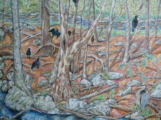 Andree Lisette Herz, 'Crow Call', 2002, original Drawing Pencil, 30 x 20  inches. Artwork description: 2703 colored pencil on board of sullivan county New York stream...