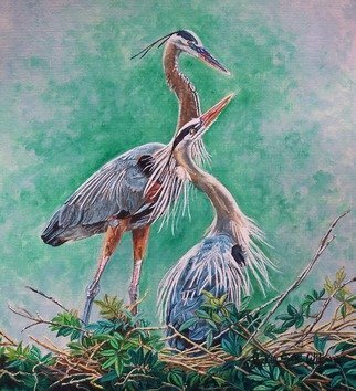 Judith Smith Wilson; Blue Herons Nesting, 2010, Original Watercolor,   inches. Artwork description: 241   Mating Blue Heron's   ...