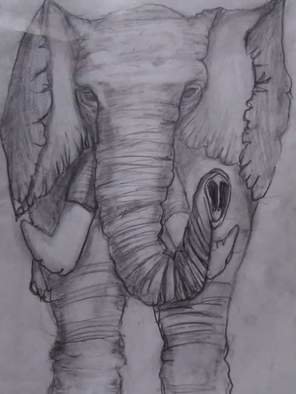 Ashley Everett; Elephant Drawing In Pencil, 2019, Original Drawing Pencil, 11 x 13 inches. Artwork description: 241 Elephant drawing done in pencil.  Note for buyer I offer drawings and paintings with or without canvas.  If you are wanting this I will be drawing painting you a new one. . .  So you re able to make adjustments to your liking. . .  You can even have this done ...
