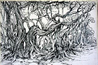 Ashok Revankar; Tree Scape, 2009, Original Drawing Pen, 28 x 20 cm. Artwork description: 241  Realestic ink drawing in line work land scape view foccused on trees. ...