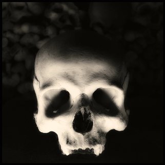 Augusto De Luca; Skull 3 - By Augusto De Luca, 2017, Original Photography Black and White, 1.1 x 1.1 inches. 