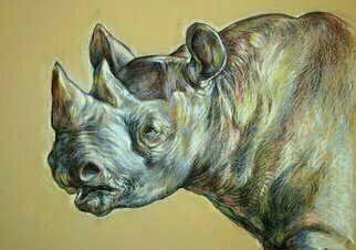 Austen Pinkerton, 'Rhino Head', 2018, original Drawing Pastel, 42 x 30  x 1 cm. 