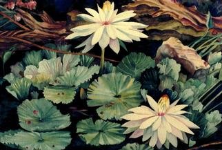 Lesta Frank; White Waterlily 2, 2001, Original Watercolor, 14 x 10 inches. Artwork description: 241 This painting was done while I sat in front of a friend' s lily pond. I love the drama of the rich contrasts of deep darks and delicate transparent lights. This is a giclee print of the original watercolor....
