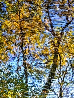 Bruce Lewis; Dreams Of Autumn, 2019, Original Photography Digital, 15 x 20 inches. Artwork description: 241 The images contains a number of different captures.  The result provides this reflection with dream like quality...