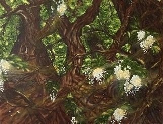 Elena Belkova; Acacia With Bee, 2017, Original Painting Oil, 46 x 38 inches. Artwork description: 241 This work reflects my interest in the perspective of acacia trees with intricate brunches which bears the bunches of flowers with pleasant aroma and the single bee in action.Using the medium and technique I was tried to accomplish the detailed artwork at the same time to ...