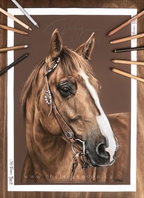 Chelsea Noyon; Western Rose, 2021, Original Drawing Pastel, 11.7 x 16.5 inches. Artwork description: 241 Pastel pencil drawing by Chelsea Noyon of a western horse on Mi- Teintes Touch. ...