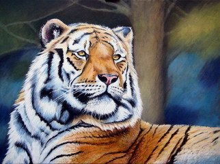 Chris Chalk; Top Cat, 2009, Original Painting Oil, 24 x 18 inches. Artwork description: 241 Oil on canvas -This Tiger painting was great fun to do.  After getting the basic shapes in the right place it was just a matter of refining the painting until I was happy to stop....