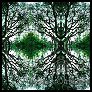 Chris Oldham; Buddhas Tree, 2016, Original Photography Digital, 24 x 24 inches. Artwork description: 241  Reflected nature image from the Heart of a Beech Tree revealing to me a Buddha sitting in a tree. ...