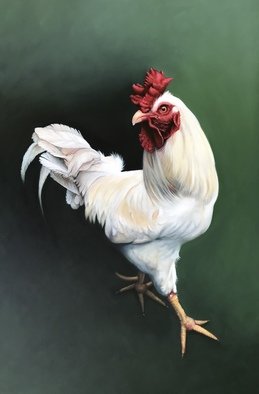 Cynzia Sanchez; Big Big Daddy, 2019, Original Painting Oil, 24 x 36 inches. Artwork description: 241 Big Daddy is my neighbor, .  I visit and feed him and his chicks everyday.  In gratitude, they model for me.  The seriesThe Chicks Next Dooris all about them. ...