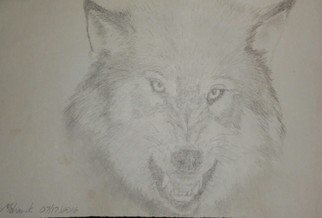 Matthew Lannholm; I Dare Not, 2016, Original Drawing Pencil, 5.5 x 8.5 inches. Artwork description: 241 Grey wolf freehand pencil...