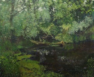 Danil Shurykin; Olhovka River In Lugansk, 2014, Original Painting Oil, 60 x 50 cm. Artwork description: 241  landscape, river, sunlight ...