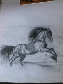 Daniela Vasileva; Black Horse , 2016, Original Drawing Graphite, 12 x 11 inches. Artwork description: 241  Horse Stallion wind freedom ...