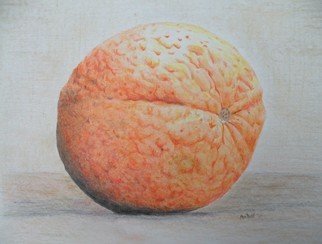 Dave Martsolf, 'Orange', 2011, original Drawing Pencil, 10 x 8  inches. Artwork description: 7455  I thought of the orange as a metaphor for the Earth.  A geologist once told me that if I ran my fingers over the surface of an Earth the size of an orange that I would not even feel the Himalayas.  So, I measured the difference between ...