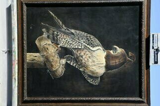 Vincent Von Frese; Perigrene, 1975, Original Painting Oil, 18 x 24 inches. Artwork description: 241 Original commissioned portrait of the Perigrene in the sport of Falconry has been returned to me and is up for sale. ...