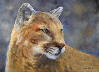 Debra Mickelson; Cougar, 2010, Original Painting Oil, 12 x 9 inches. Artwork description: 241  cat animal wildlife cougar puma lion wildcat    ...