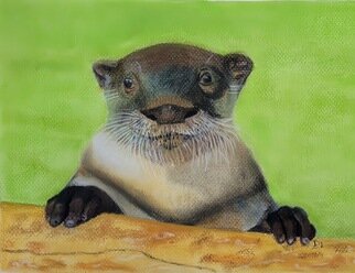 Deepti  Jain; Lets Play, 2022, Original Pastel, 12 x 9 inches. Artwork description: 241 Baby African otter Mtoti is enticing his trainers to play with him. The innocence in his eyes and his cute expressions made me fell in love with him. This painting was done in collaboration with ABUN and African Otter Network ...