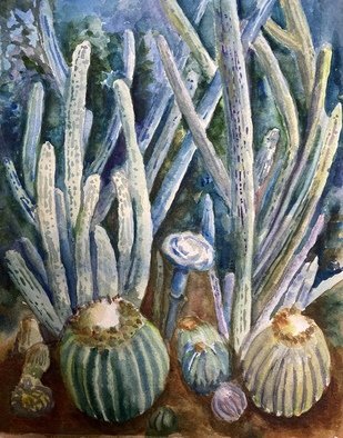 Deborah Paige Jackson; Conservatory Cactus, 2020, Original Watercolor, 8 x 10 inches. Artwork description: 241 Watercolor on paper of live cactus at the Conservatory. ...