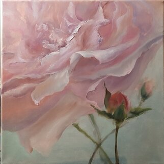 Elena Mardashova; Rose In Closeup, 2020, Original Painting Oil, 40 x 40 cm. Artwork description: 241 Original oil painting  Rose in close- up ,on canvas 40 x 40 cm,2020...