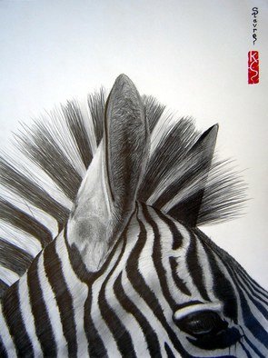 Eric Stavros; Zebra Close Up, 2009, Original Drawing Pencil,   cm. Artwork description: 241  graphite pencils, from 2H to 8B, blending stumps, kneaded eraser, typing eraser, on A3 Canson 160g.about 20 hours. . . . . . . . . .     ...