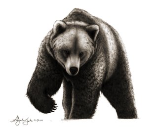 Alejandro Jake; The Bear, 2016, Original Digital Print, 8.5 x 11 inches. Artwork description: 241  The Bear- Contributed by Haroldthebigman in the bears club ...