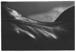 Tony Lee; Back, 2002, Original Photography Black and White, 12 x 8 inches. Artwork description: 241 full- frame nude showing the back muscles. printed with wide borders on 9x12 paper. hand- signed by artist. ...