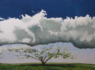 Francois Fournier; Reaching For The Sky, 2012, Original Painting Oil, 48 x 36 inches. Artwork description: 241    This painting depicts an apple tree full of flowers during the spring season with a great cumulus cloud overhead.Nature varies itself relentlessly. It is this contact with a persistently changing environment that inspires his creations. By observing the constantly shifting seasons, days, hours, or moods, Franc...