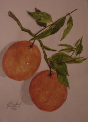 Ghassan Rached; Oranges, 1998, Original Watercolor, 20 x 28 cm. Artwork description: 241 Watercolor paintimg by Ghassan Rached...