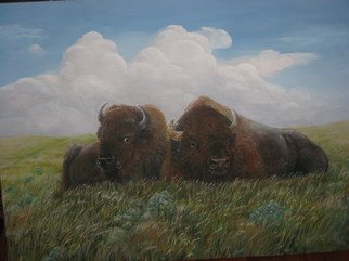 Heidi Bacon; Bison Afternoon, 2011, Original Printmaking Giclee, 30 x 40 inches. Artwork description: 241  Bison relaxing on a windswept prairie. Giclee reproduction on canvas from an original acrylic painting.            ...