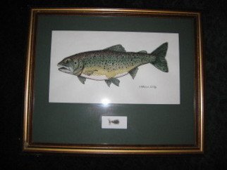 Heidi Bacon; Brook Trout, 1995, Original Printmaking Giclee, 16 x 20 inches. Artwork description: 241  I did a series of fish upon request from my sister who, at the time, was President of the Nebraska Chapter of the American Fisheries Society. This Brook Trout is a Giclee reproduction on canvas from an original pen & ink drawing with a watercolor wash.  Fly not ...