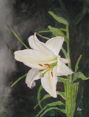Eve Co; Easter Lily, 2010, Original Watercolor, 9 x 12 inches. Artwork description: 241  Easter Lily i? 1/2 This painting depicts the Easter Lily which is the symbol of the Easter Seals Society and one of my favorite Lilyi? 1/2s as well.  The background is very dark to highlight the simple beauty of this particularly exquisite flower.  This painting is NOW for sale, ...