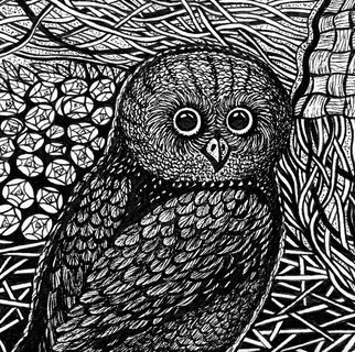 Irina Maiboroda, 'A Fargment from Creatures...', 2016, original Drawing Ink, 40 x 50  x 2 cm. Artwork description: 2448  drawing, ink, imaginary, creatures, owl, black, white, birds   ...