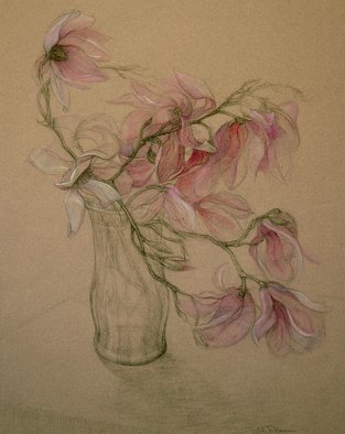 Judith Fritchman, 'Magnolia Magic', 2007, original Pastel, 19 x 25  x 1 inches. Artwork description: 3099  Pink and white Magnolia blossoms in pastel and conte pencil on tan paper. ...