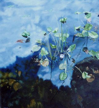 James Gwynne, 'Lily Pond With Beer Can', 1991, original Painting Oil, 70 x 75  x 3 inches. Artwork description: 2307 Lily pads in a pond with reflection ofsky and clouds and the inevitable floatingbeer can. ...