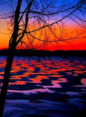 Mark Goodhew; Winter Lake Sunrise, 2015, Original Photography Color, 17.6 x 24 inches. Artwork description: 241    Picture of Orchid I took at local Orchid show   ...