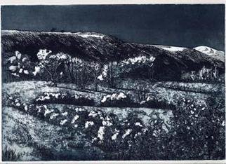 John Booth; The Downs From Fulking, 2015, Original Printmaking Etching, 11 x 8 inches. Artwork description: 241 The Downs from Fulking is part of a series of landscapes inspired by the English countryside. The landscapes progress from figurative to abstract as the series has developed. These works are part of an ongoing exploration of landscape art starting with the representational and moving towards a ...