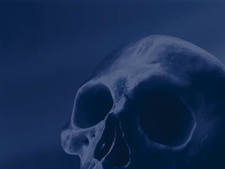 Jorge Llaca; Blue Skull 1, 2002, Original Photography Other, 14 x 10 cm. Artwork description: 241 digilal manipulated image...