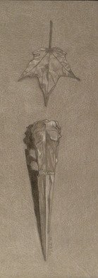 Kelly Parker; Crane Skull With Leaf, 2010, Original Drawing Pencil, 8 x 12 inches. Artwork description: 241  colored pencil, pencil, drawing, black and white, skulls, skull, bird, leaf, leaves ...
