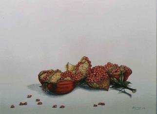 Thomai Kontou;  Pomegranate, 2004, Original Watercolor, 30 x 40 cm. 