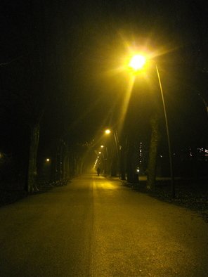 Laurie Delaney; Into The Night, 2011, Original Photography Color, 10 x 8 inches. Artwork description: 241 Night, road, light, paths. ...