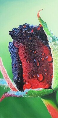 Mantas Naulickas; Rasa, 2022, Original Painting Oil, 50 x 100 cm. Artwork description: 241 Only a fruitful dewy, summer morning descending on a delicate, unopened rose flower can so revive and thrill the heart of a lover of beauty. . . . ...