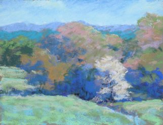 Marsha Savage; Pasture And Dogwood, 2008, Original Pastel, 9 x 12 inches. Artwork description: 241  Blue Ridge GA vista done plein air. ...