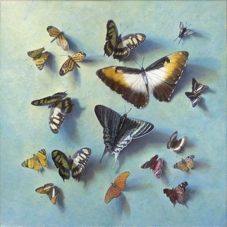 Yuriy Matrosov; Follow Your Dreams, 2017, Original Painting Oil, 15.8 x 15.8 inches. Artwork description: 241 Painting Oil on Canvas.  This trompe l oeil depict realistically rendered butterflies of the peruvian amazon.  For this painting, I applied several layers of paint to the canvas in classic oil painting technique.  I used a strong light and heavy shadows to create depth in a painting ...
