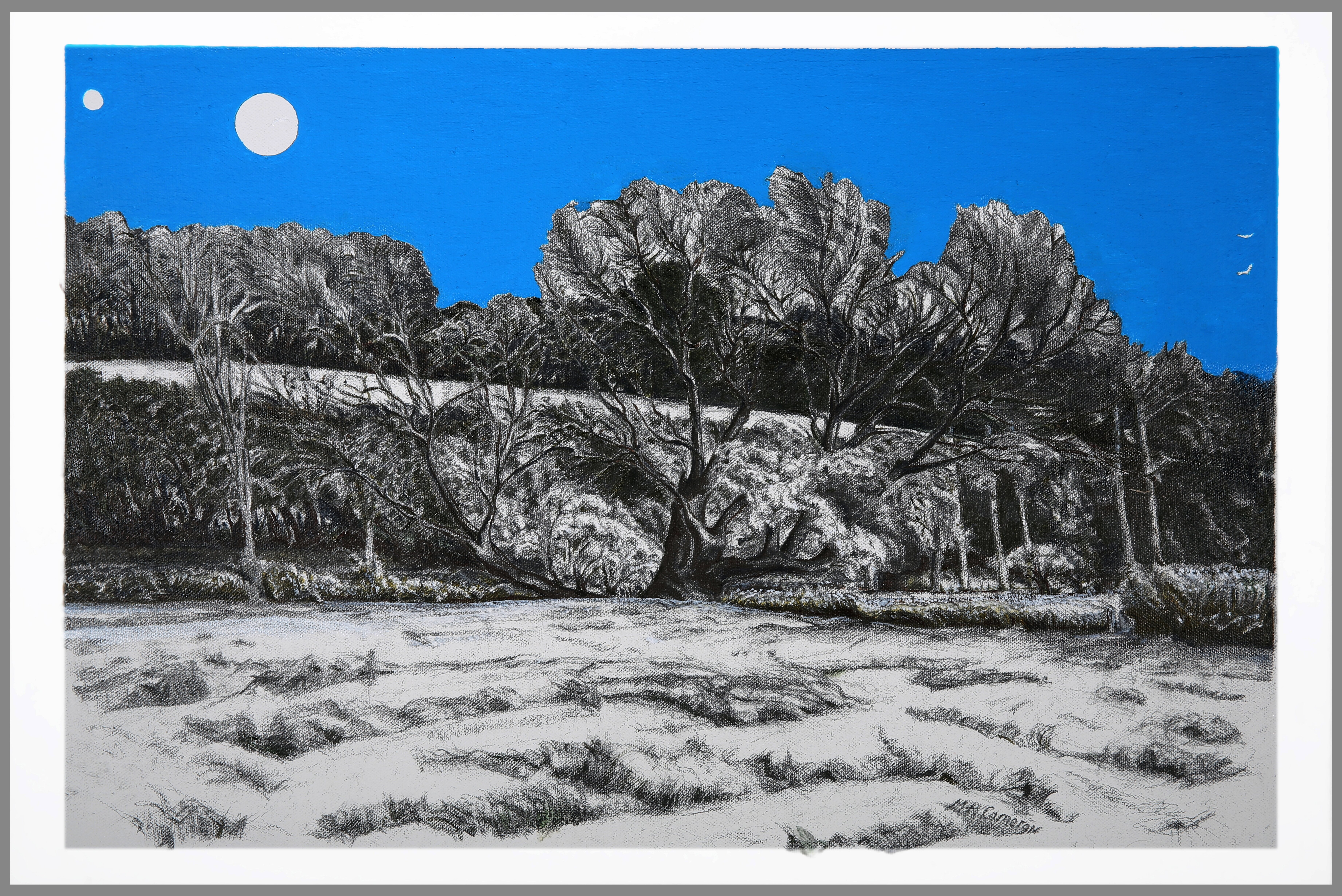 Maxine Cameron; Forbidden Planet, 2021, Original Painting Oil, 24 x 16 inches. Artwork description: 241 A late summeraEURtms walk across an awesome enchanted landscape Or moon struck on a forbidding night.Oil  Graphite on canvas...