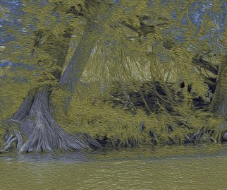 Nancy Wood; Guadalupe River Dark, 2013, Original Photography Other, 20 x 16 inches. Artwork description: 241         Digital Photo on Canvas        ...