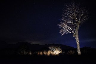 Natalie Barry; Mountain Top, 2019, Original Photography Digital, 22 x 14 inches. Artwork description: 241 This shows that what we may see in the sky is bigger than we thought.  The relationship between the tree in front may seem big, but compared to the mountains in the back and the endless night sky above, we are small, but have a big impact. ...