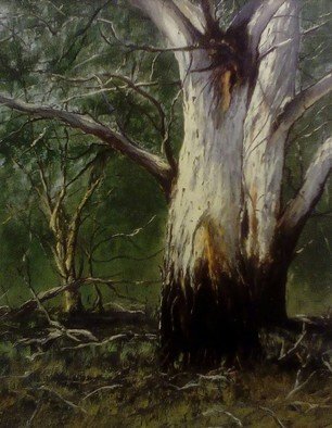 Terry Dower; The Gums, At Shooters Hill, 2015, Original Painting Oil, 52 x 70 cm. Artwork description: 241  The Gums at Shooters hill near Oberon NSW          A    ...