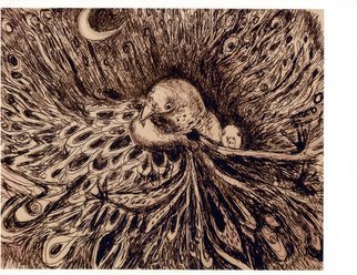 Marilyn Nosewicz; Birds Nest Chaos Crescent..., 2012, Original Printmaking Giclee - Open Edition, 16 x 20 inches. Artwork description: 241      Crescent Moon Birds in chaotic nest. Drawing dark pen.       ...
