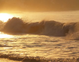 Timothy Oleary; Golden Wave, 2008, Original Photography Other, 14 x 11 inches. Artwork description: 241  The ocean heals with her golden light. ...