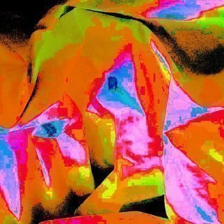 C. A. Hoffman, 'Pink Bird In Orange', 2020, original Digital Painting, 14 x 20  inches. Artwork description: 2307 This is an original photo that has been digitally enhanced to create a new and exciting piece of art. ...